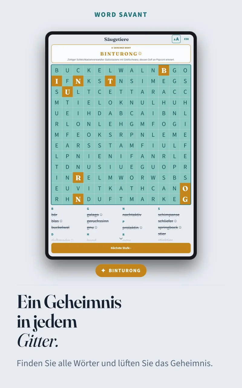 Ein gelöstes Gitter zum Thema Säugetiere: Die restlichen Buchstaben, bernsteinfarben hervorgehoben, ergeben das Lösungswort BINTURONG