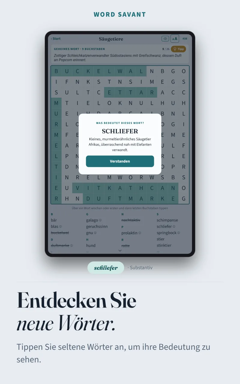 Die Bedeutung des Wortes Schliefer, über dem Gitter eingeblendet: ein kleines, murmeltierähnliches Säugetier Afrikas, überraschend nah mit den Elefanten verwandt