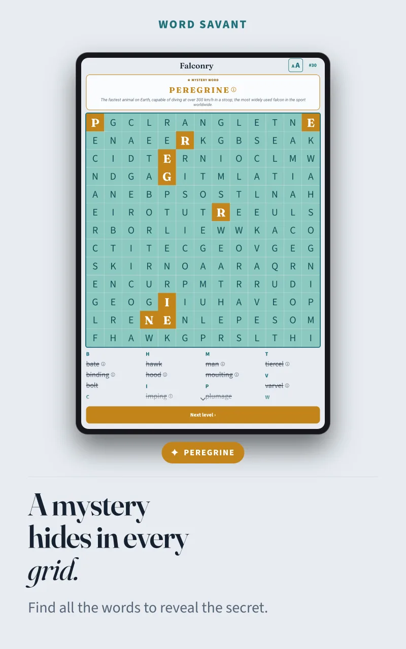 A finished Falconry grid where the leftover letters, shown in amber, spell the mystery word PEREGRINE